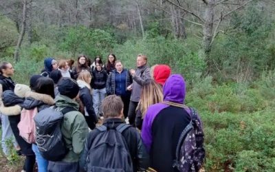 Fake news sur la nature