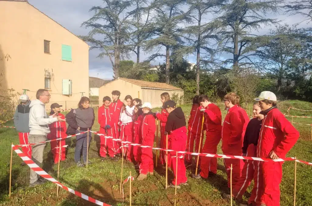 Plantation à la Maison de retraite de St-Maximin